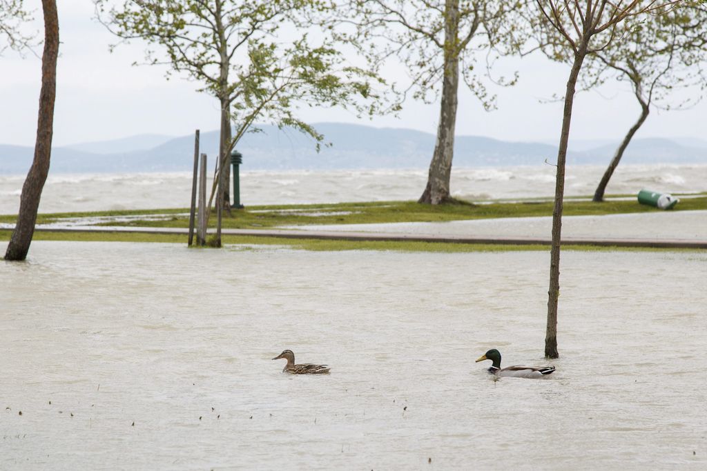 A Balaton magas vízállása és a viharos erejû szél miatt kicsapódó hullámoktól elárasztott balatonfenyvesi szabadstrand (kép: MTI)