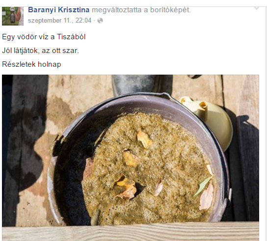 Elég szarul fest Baranyi Krisztina Facebookos borítóképe