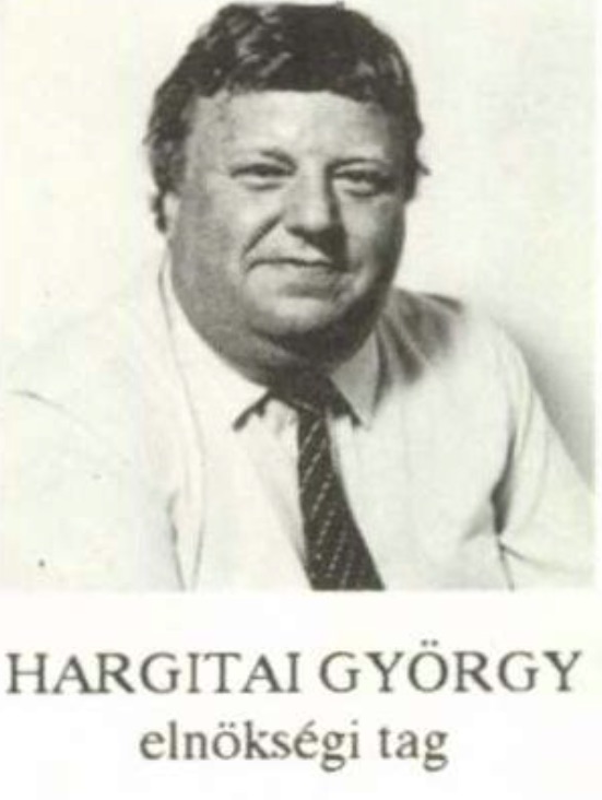 Hargitai György egy a Videoton csapatáról szóló cikkben 